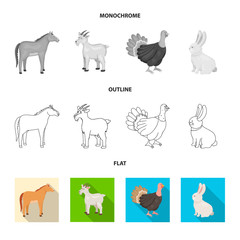 Vector illustration of breeding and kitchen  logo. Collection of breeding and organic  stock symbol for web.