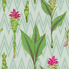 Colorful seamless pattern with hand drawn of Turmeric roots lives and flowers on chevron stripes background Retro vintage graphic design.