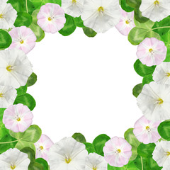 Beautiful floral background of bindweed and clover leaves