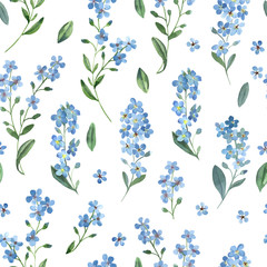 Watercolor seamless pattern of gentle blue flowers of forget-me-not with green leaves on white background. - 252926039