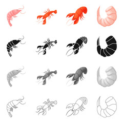 Vector design of appetizer and ocean sign. Collection of appetizer and delicacy stock vector illustration.