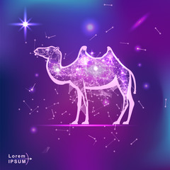 camel. Polygonal wireframe camel silhouette on gradient background. Space, futuristic, zodiac concept. Shine neon style vector illustration