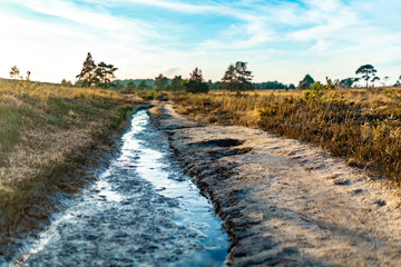 Creative heathland cutting