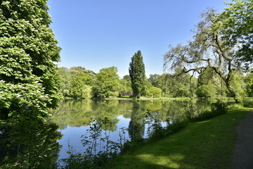 Les différent sortes d'arbres reflétant dans l'étang principal au domaine provincial de Rivierenhof à Anvers 