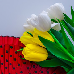 tulips white and yellow in different combinations and in combination with various objects 