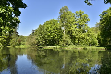 Fototapeta na wymiar Les différent sortes d'arbres reflétant dans l'étang principal au domaine provincial de Rivierenhof à Anvers 