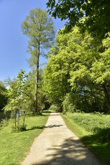 Chemin rectiligne vers un 