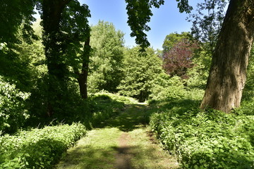 Chemin en terre entre les plantes touffues au domaine provincial de Rivierenhof à Anvers