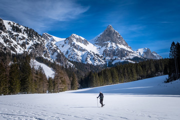 Man snowshoeing on snowy plateau Kaiserau with mountain Admonter Kalbling