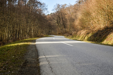 Obraz premium Road through deciduous forest during winter sunny day