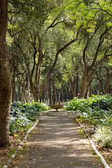fountain in park