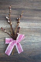 willow catkins on wooden background copy space easter