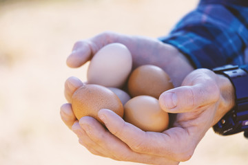 Man holding fresh eggs from chicken egg harvest on rural farm.
