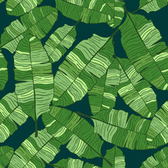 Seamless pattern of Tropical palms leaves. Exotic creative universal floral pattern. Design for poster, card, invitation, placard, flyer, textile.Vector Illustration. green
