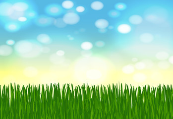 Fototapeta na wymiar summer or spring background with green grass, blue sky, sunlight and highlights