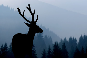 Deer silhouette on mountains background