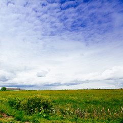Spring summer background - rural road in green grass field meadow scenery lanscape with blue sky