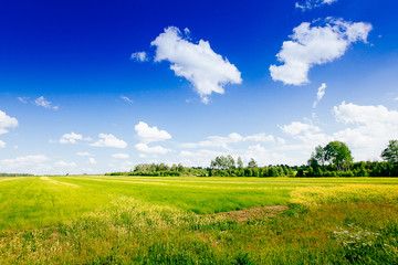 Spring summer background - rural road in green grass field meadow scenery lanscape with blue sky