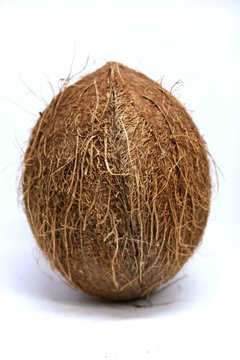Kokos