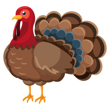 Cartoon Turkey Images – Browse 39,777 Stock Photos, Vectors, and Video |  Adobe Stock
