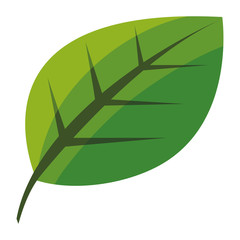 Obraz premium leaf icon image