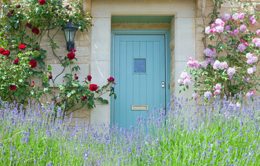Bright blue wooden doors in an old traditional English lime stone cottage surrounded by climbing...