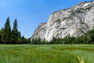 Vista del Parco Nazionale Yosemite © Giorgio