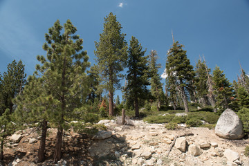 Vista del Parco Nazionale Yosemite © Giorgio