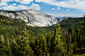 Vista del Parco Nazionale Yosemite © Giorgio