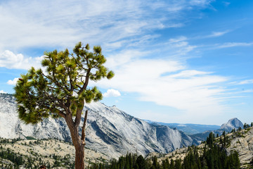 Vista del Parco Nazionale Yosemite © Giorgio