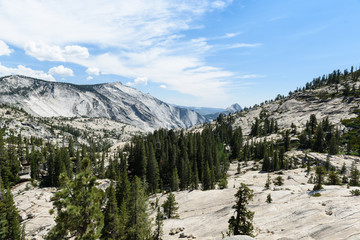 Vista del Parco Nazionale Yosemite © Giorgio