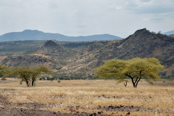 The arid landscapes of Lake Magadi, Rift Valley, Kenya