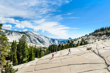 Vista del Parco Nazionale Yosemite, California, America © Giorgio