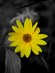 Thankfully you shine when my world is dark..