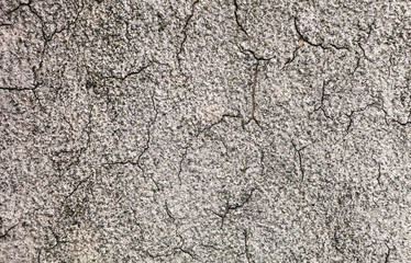 Whitewashed wall with rich and various texture