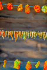 Dried and winter prepared eggplant, pepper and stuffed peppers