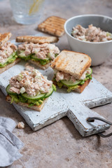 Healthy Tuna Sandwich with Avocado and Cucumber