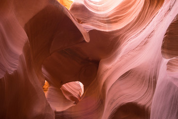 Lower Anteolpe Canyon Page Arizona