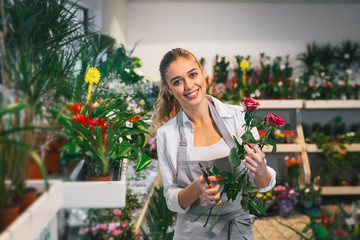 young woman working in flower shop. trimming roses
