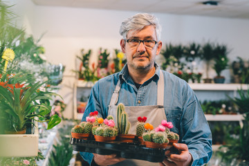 middle aged man working in flower shop. holding decorative cactus. Looking at camera