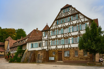 Fototapeta na wymiar Houses close Maulbronn Monastery, Germany