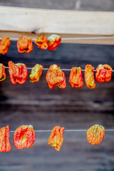 Dried and winter prepared eggplant, pepper and stuffed peppers
