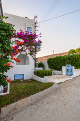 The typical cyclades style with colorful flowers in Paros island, Greece