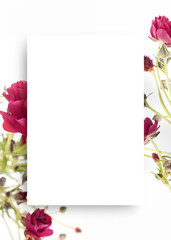 아름다운 봄꽃 배너&프레임, 세일,초대장 배경