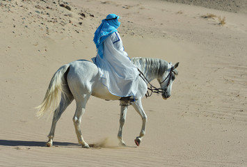 Rider in traditional clothes rides an arabian horse in the desert. Horizontal, side view, in motion.