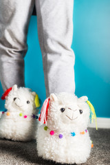 Young girl is wearing cute soft 3d llama slippers