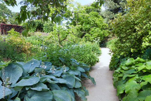 Gravel Path Through Flowers Shrubs And Trees In A Lush - 