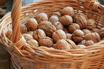 Lots of healthy walnuts in shells