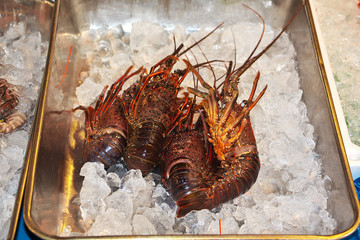 Fish market, Tokyo, Japan