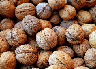 Lots of healthy walnuts in shells